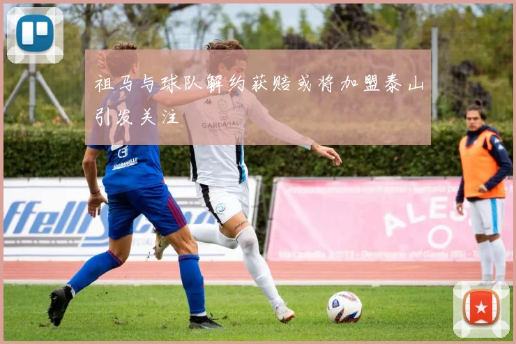 祖马与球队解约获赔或将加盟泰山引发关注