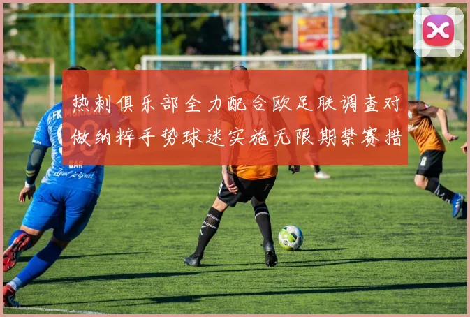 热刺俱乐部全力配合欧足联调查对做纳粹手势球迷实施无限期禁赛措施